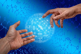 星空·综合体育-德国仰泳项目技术稳定提升，德国仰泳项目技术稳定提升方案