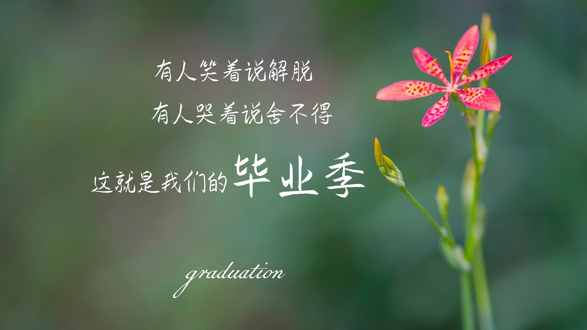 星空官网-未来发展蓝图：澳大利亚队如何从本土赛场走向世界舞台，澳大利亚队首发