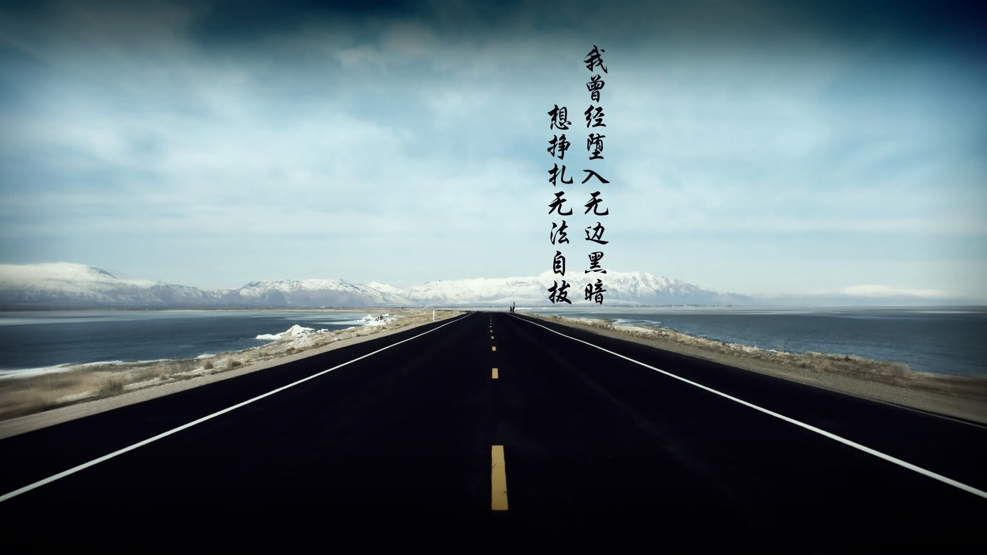 “萨尔·巴赫与南非羚羊队:一个不可忽视的联盟”