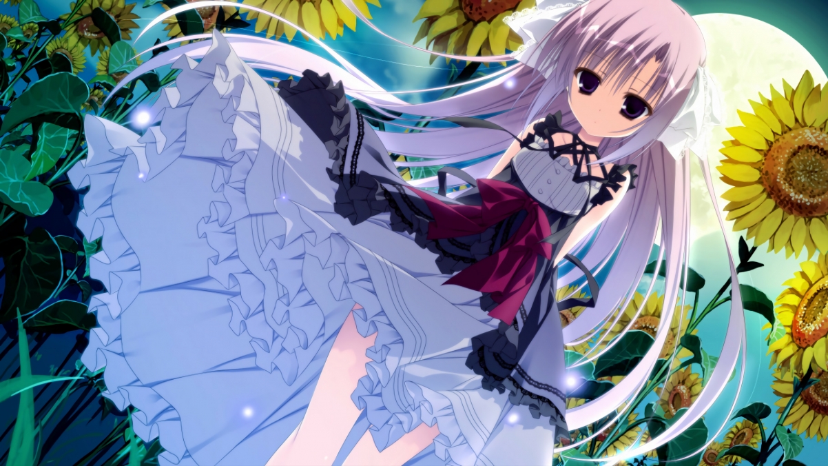 “萨尔·巴赫与南非羚羊队:一个不可忽视的联盟”