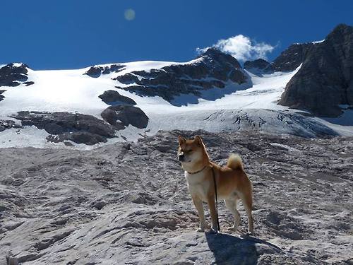 世界杯历史经典:难忘的瞬间串联成传奇,世界杯史话